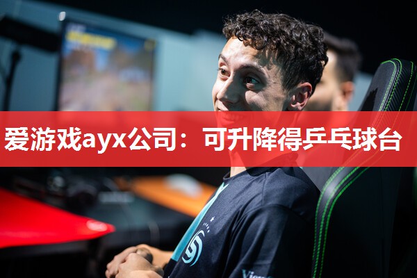 爱游戏ayx公司：可升降得乒乓球台