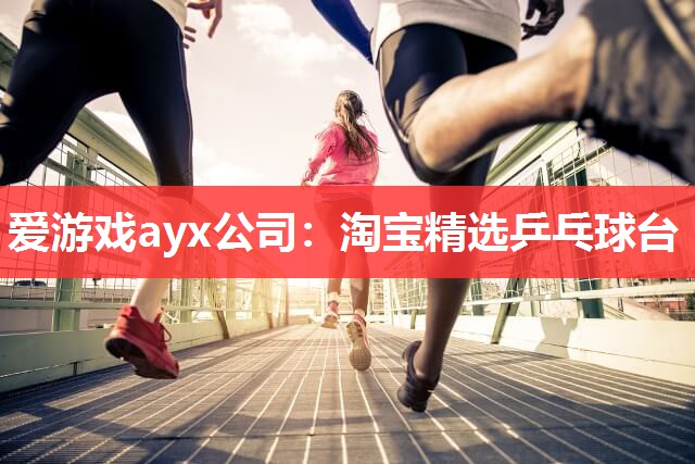 爱游戏ayx公司：淘宝精选乒乓球台