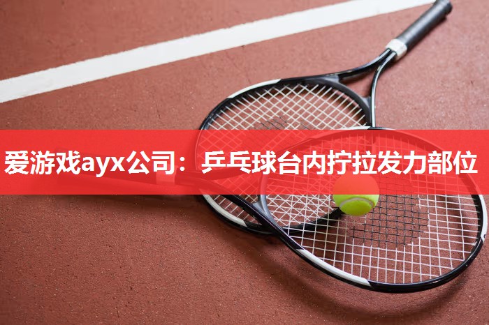 爱游戏ayx公司：乒乓球台内拧拉发力部位