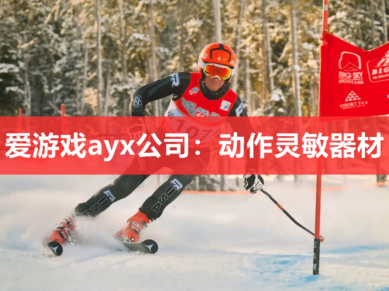 爱游戏ayx公司：动作灵敏器材