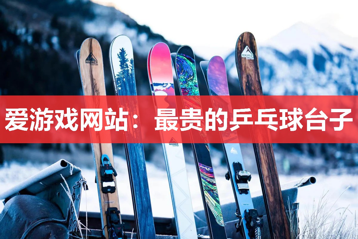 爱游戏网站：最贵的乒乓球台子