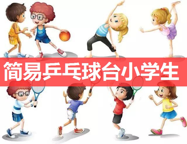 简易乒乓球台小学生