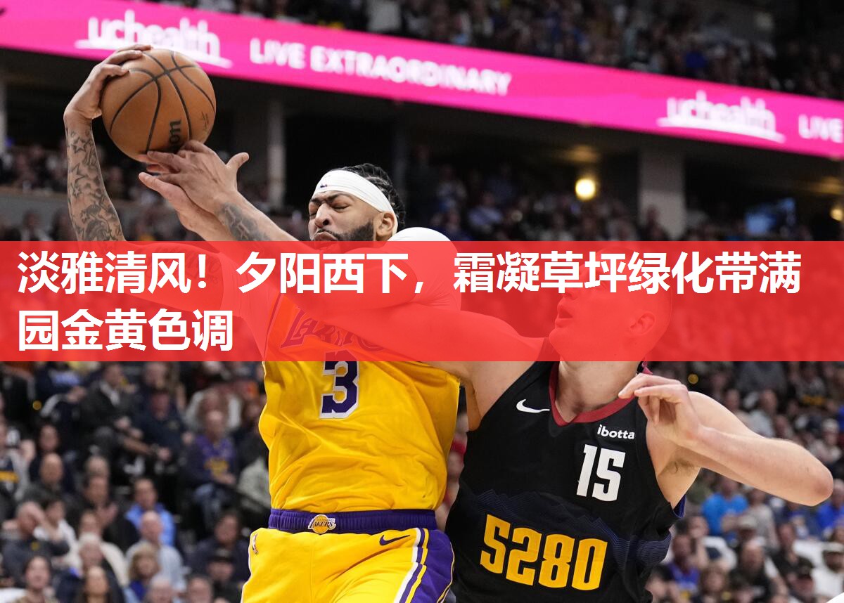 淡雅清风！夕阳西下，霜凝草坪绿化带满园金黄色调