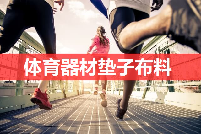 体育器材垫子布料