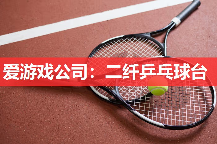 爱游戏公司：二纤乒乓球台
