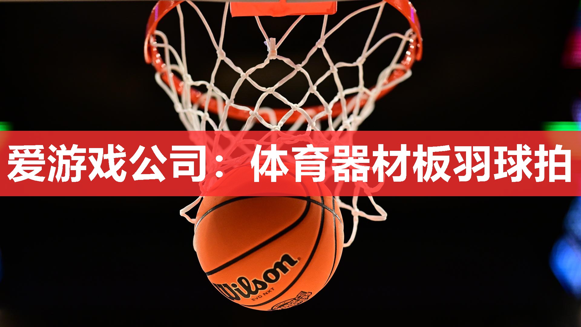 爱游戏公司：体育器材板羽球拍