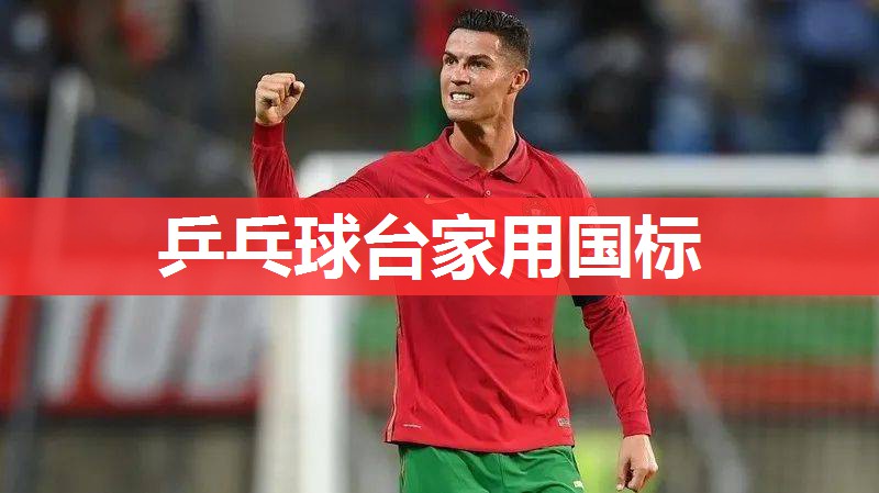 乒乓球台家用国标