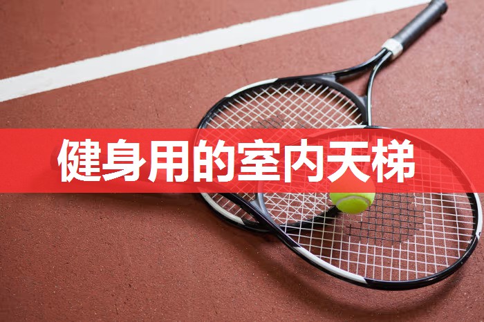 健身用的室内天梯