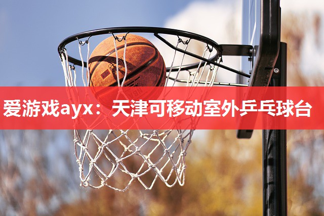 爱游戏ayx：天津可移动室外乒乓球台