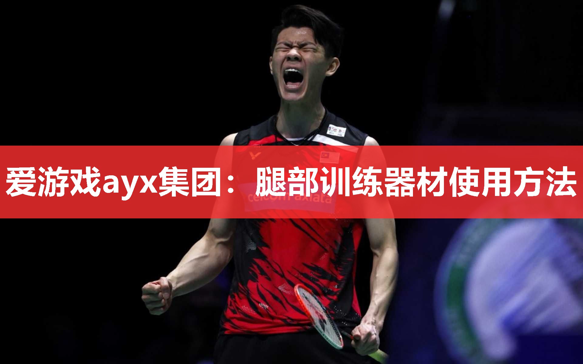 爱游戏ayx集团：腿部训练器材使用方法