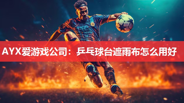 AYX爱游戏公司：乒乓球台遮雨布怎么用好
