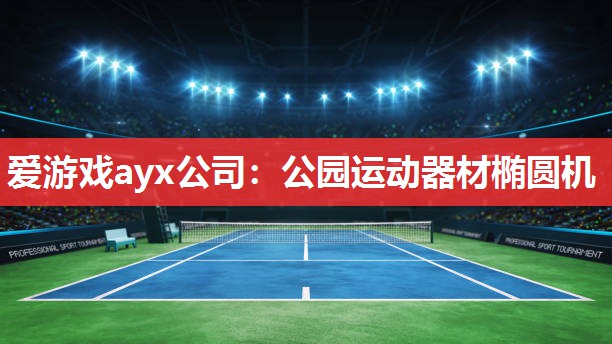 爱游戏ayx公司：公园运动器材椭圆机