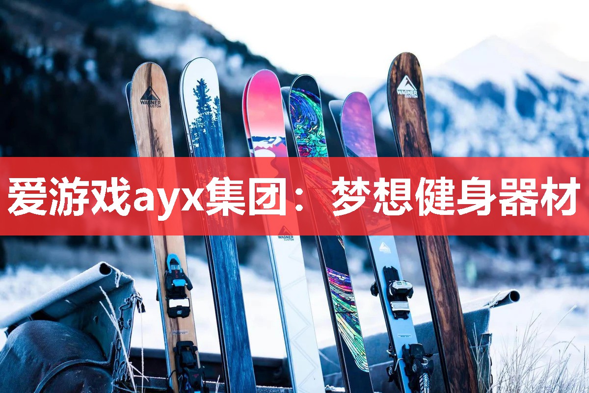 爱游戏ayx集团：梦想健身器材