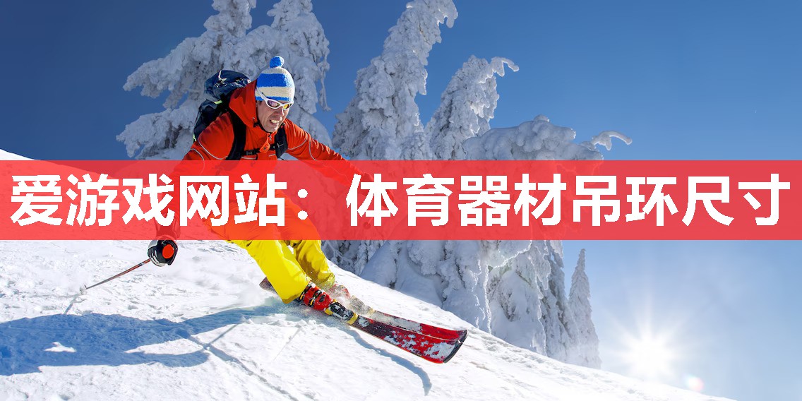 爱游戏网站：体育器材吊环尺寸