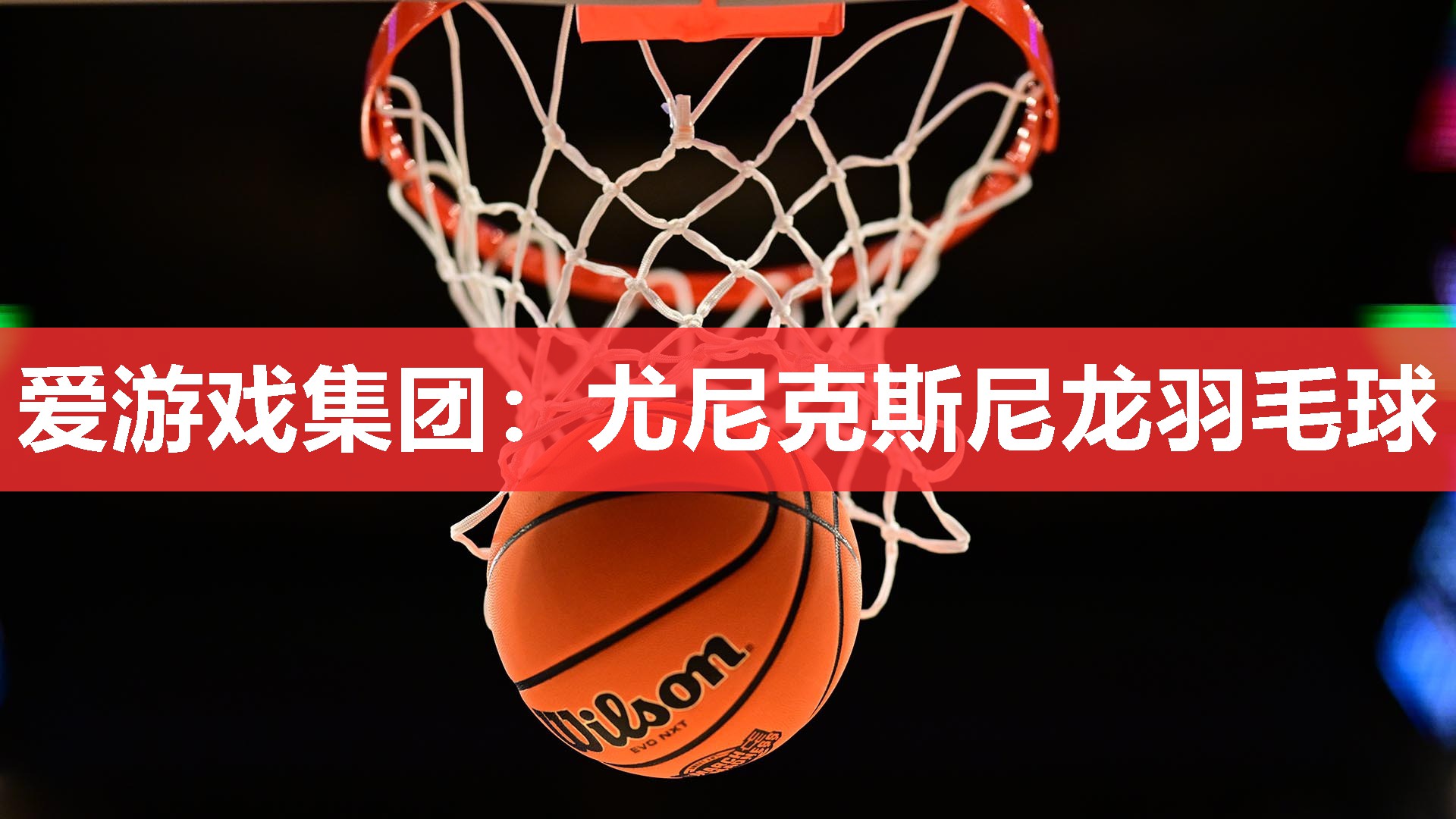 爱游戏集团：尤尼克斯尼龙羽毛球