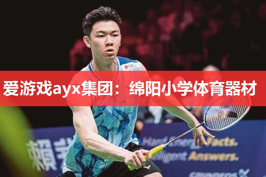 爱游戏ayx集团：绵阳小学体育器材