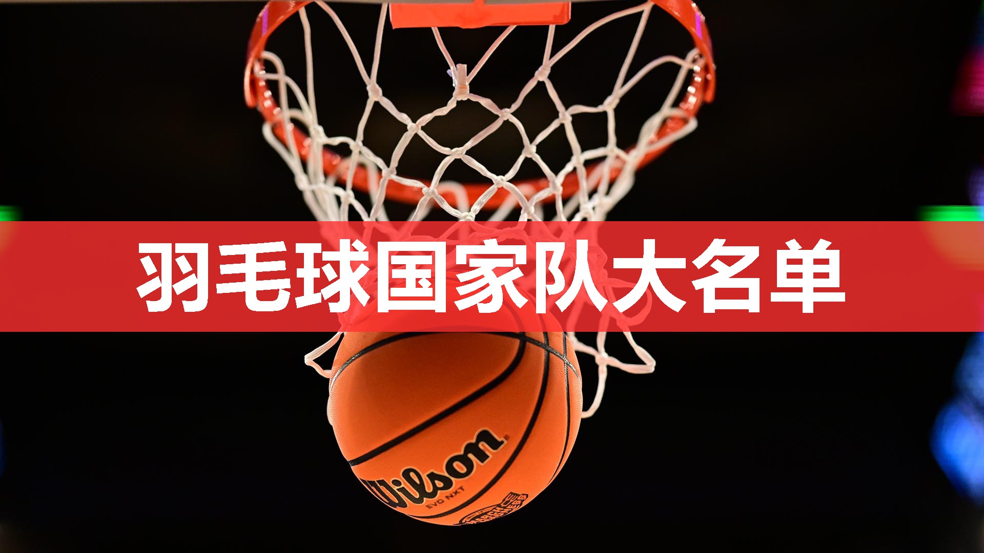 羽毛球国家队大名单