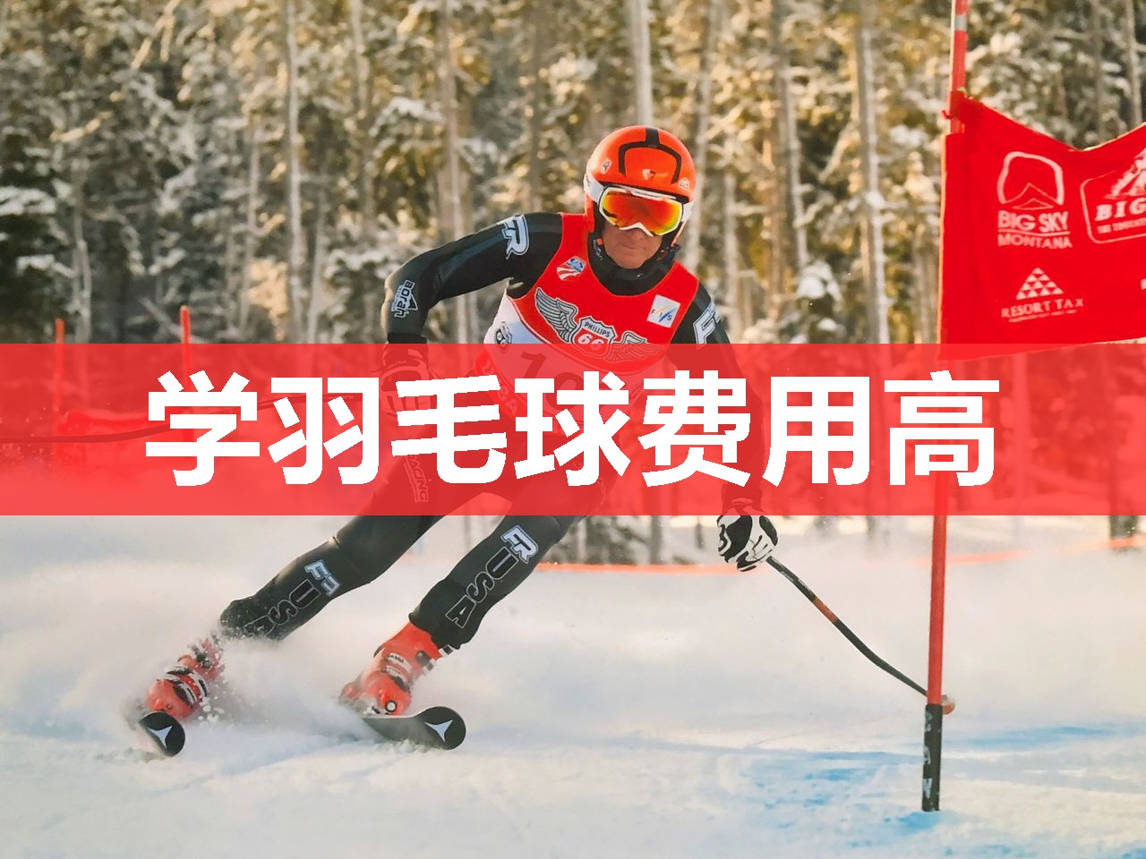 学羽毛球费用高