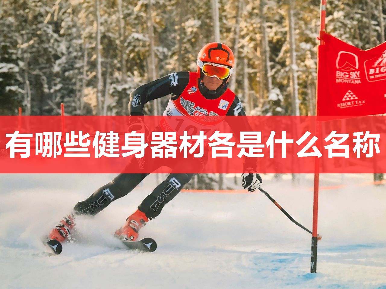 有哪些健身器材各是什么名称