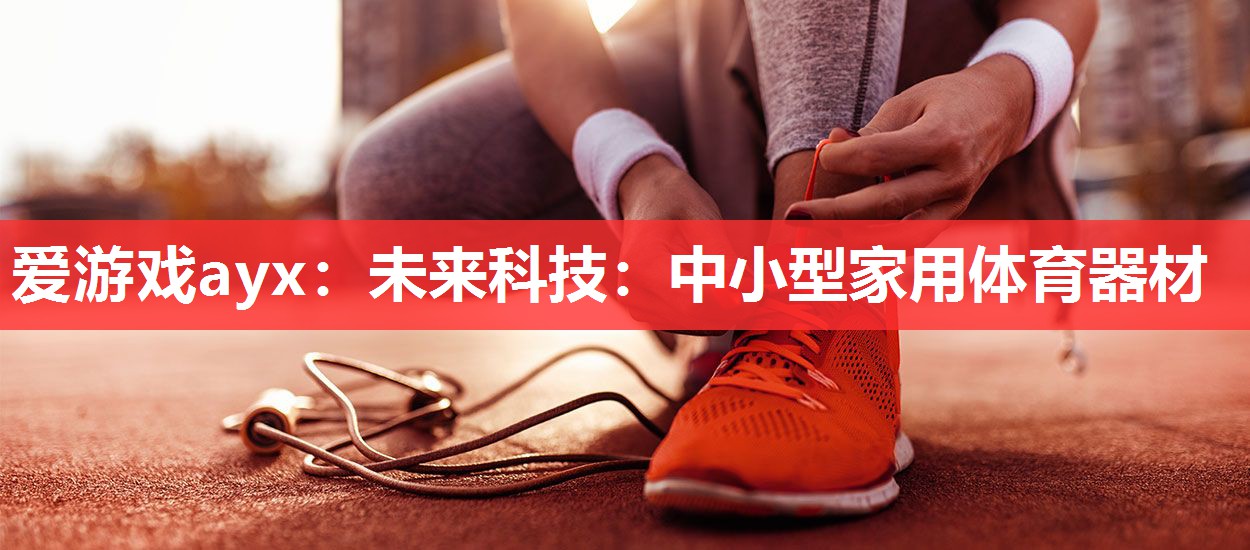爱游戏ayx：未来科技：中小型家用体育器材