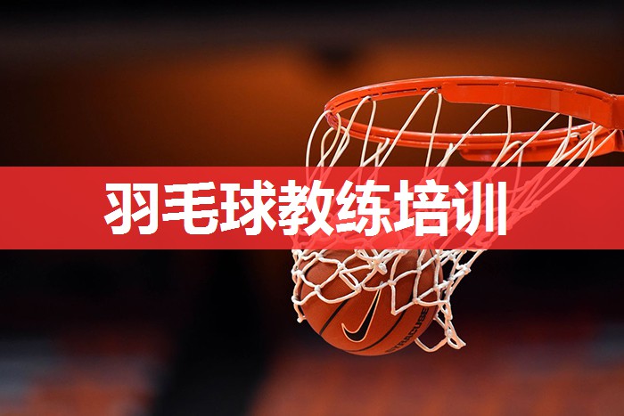 羽毛球教练培训