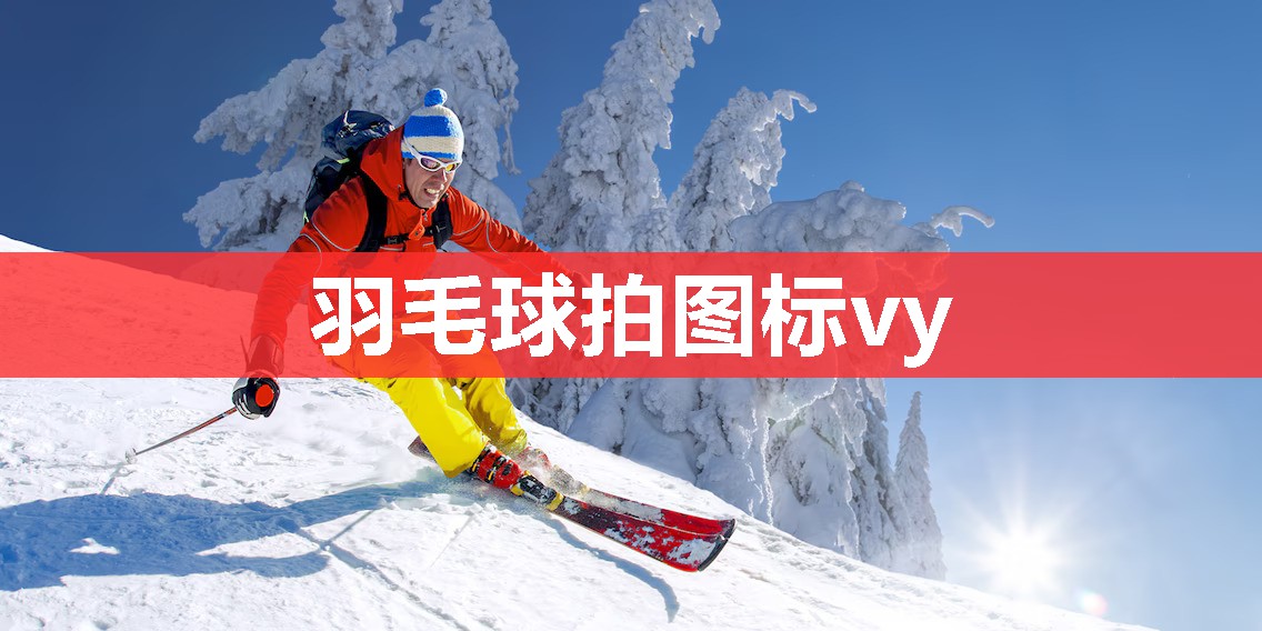 羽毛球拍图标vy