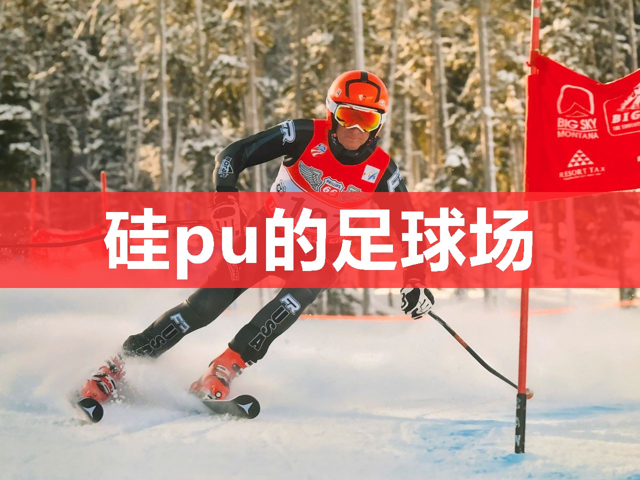 硅pu的足球场 硅pu的足球场
