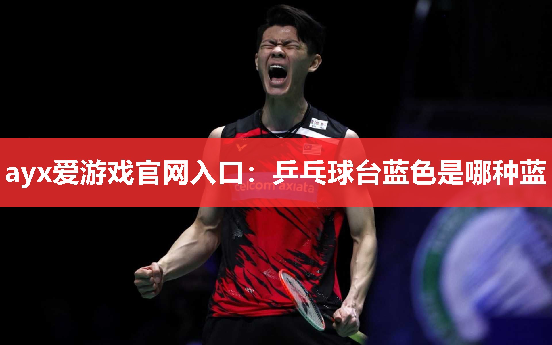 乒乓球台蓝色是哪种蓝 乒乓球台蓝色是哪种蓝