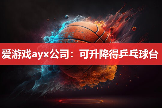 可升降得乒乓球台 可升降得乒乓球台