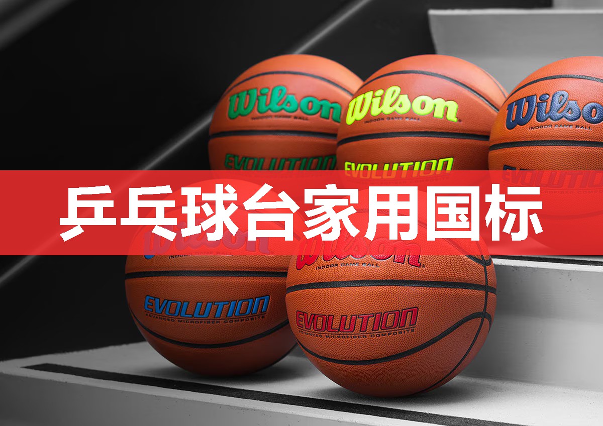 乒乓球台家用国标 乒乓球台家用国标