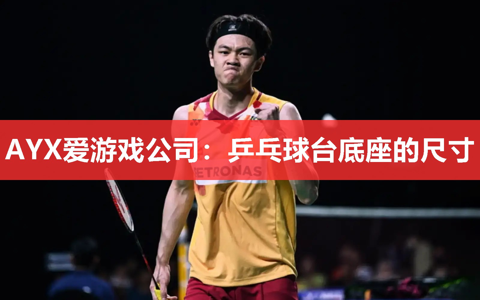 乒乓球台底座的尺寸 乒乓球台底座的尺寸