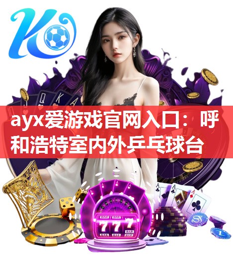 呼和浩特室内外乒乓球台 呼和浩特室内外乒乓球台