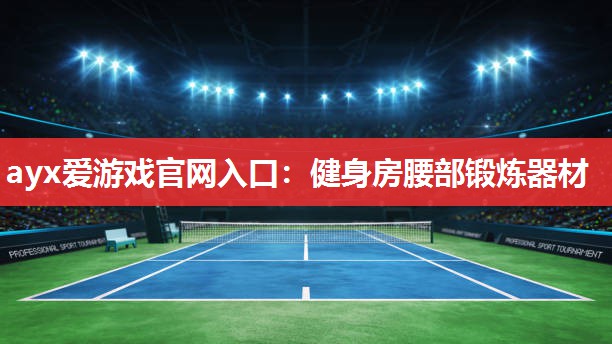 健身房腰部锻炼器材 健身房腰部锻炼器材