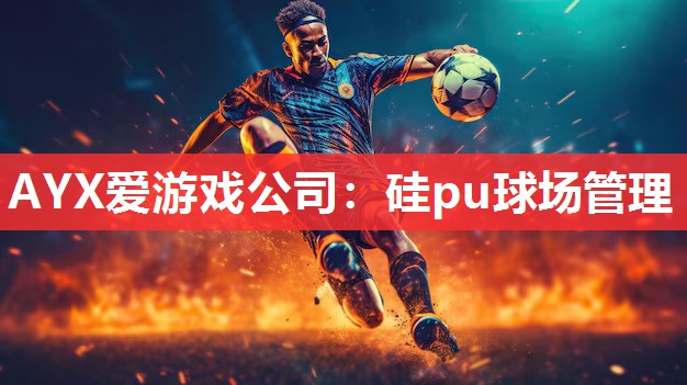 硅pu球场管理 硅pu球场管理