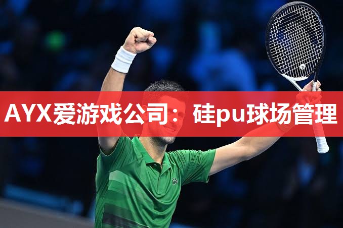 硅pu球场管理 硅pu球场管理