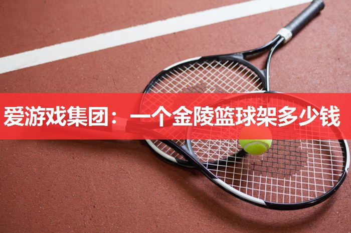 一个金陵篮球架多少钱 一个金陵篮球架多少钱