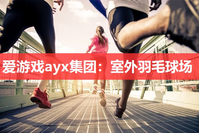 室外羽毛球场 室外羽毛球场