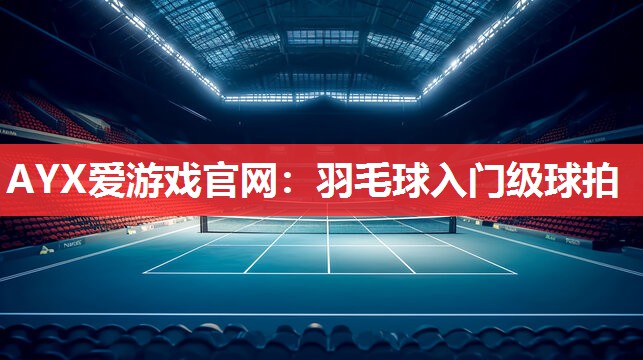 羽毛球入门级球拍 羽毛球入门级球拍