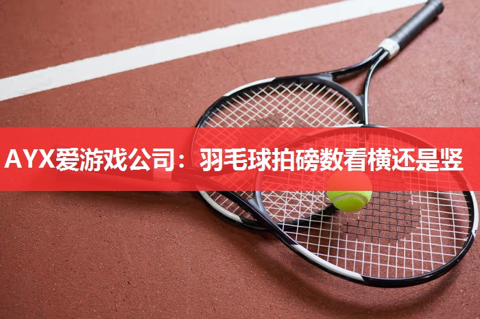 羽毛球拍磅数看横还是竖 羽毛球拍磅数看横还是竖