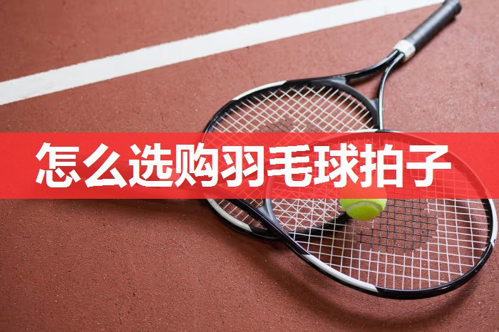 怎么选购羽毛球拍子 怎么选购羽毛球拍子